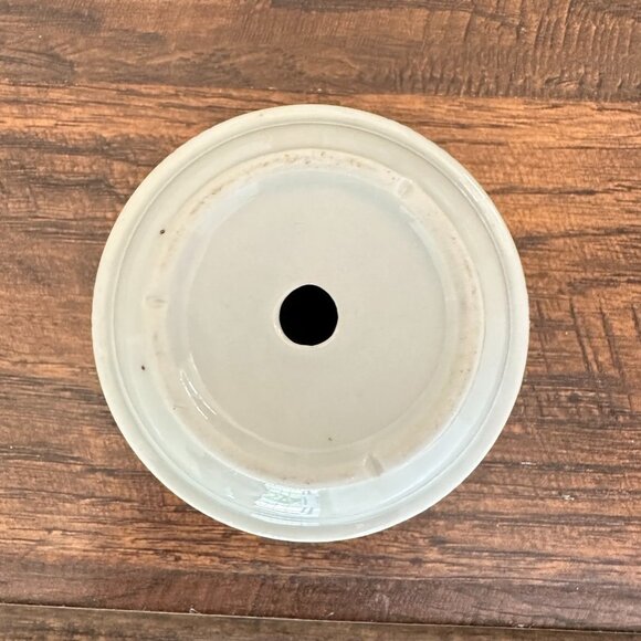 Glazed Ceramic Succulent Planter Pot - Picture 10 of 10